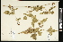  ( - CCDB-24801-D09)  @11 [ ] CreativeCommons - Attribution (2015) Agriculture and Agri-Food Canada Agriculture and Agri-Food Canada
