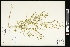  ( - CCDB-24801-E06)  @11 [ ] CreativeCommons - Attribution (2015) Agriculture and Agri-Food Canada Agriculture and Agri-Food Canada