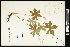  ( - CCDB-24801-E07)  @11 [ ] CreativeCommons - Attribution (2015) Agriculture and Agri-Food Canada Agriculture and Agri-Food Canada