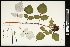  ( - CCDB-24801-E09)  @11 [ ] CreativeCommons - Attribution (2015) Agriculture and Agri-Food Canada Agriculture and Agri-Food Canada