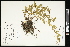  ( - CCDB-24801-F03)  @11 [ ] CreativeCommons - Attribution (2015) Agriculture and Agri-Food Canada Agriculture and Agri-Food Canada