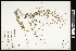  ( - CCDB-24801-F05)  @11 [ ] CreativeCommons - Attribution (2015) Agriculture and Agri-Food Canada Agriculture and Agri-Food Canada