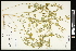  ( - CCDB-24801-F06)  @11 [ ] CreativeCommons - Attribution (2015) Agriculture and Agri-Food Canada Agriculture and Agri-Food Canada