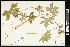  ( - CCDB-24801-F07)  @11 [ ] CreativeCommons - Attribution (2015) Agriculture and Agri-Food Canada Agriculture and Agri-Food Canada