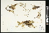  ( - CCDB-24801-F09)  @11 [ ] CreativeCommons - Attribution (2015) Agriculture and Agri-Food Canada Agriculture and Agri-Food Canada
