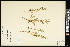  ( - CCDB-24801-F10)  @11 [ ] CreativeCommons - Attribution (2015) Agriculture and Agri-Food Canada Agriculture and Agri-Food Canada