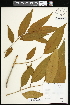  ( - CCDB-24801-G04)  @11 [ ] CreativeCommons - Attribution (2015) Agriculture and Agri-Food Canada Agriculture and Agri-Food Canada