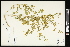  ( - CCDB-24801-G06)  @11 [ ] CreativeCommons - Attribution (2015) Agriculture and Agri-Food Canada Agriculture and Agri-Food Canada