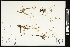  ( - CCDB-24801-G09)  @11 [ ] CreativeCommons - Attribution (2015) Agriculture and Agri-Food Canada Agriculture and Agri-Food Canada