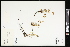  ( - CCDB-24801-G12)  @11 [ ] CreativeCommons - Attribution (2015) Agriculture and Agri-Food Canada Agriculture and Agri-Food Canada