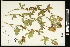  ( - CCDB-24801-H06)  @11 [ ] CreativeCommons - Attribution (2015) Agriculture and Agri-Food Canada Agriculture and Agri-Food Canada
