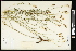  ( - CCDB-24801-H07)  @11 [ ] CreativeCommons - Attribution (2015) Agriculture and Agri-Food Canada Agriculture and Agri-Food Canada