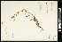  ( - CCDB-24801-H10)  @11 [ ] CreativeCommons - Attribution (2015) Agriculture and Agri-Food Canada Agriculture and Agri-Food Canada