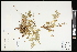  ( - CCDB-24801-H12)  @11 [ ] CreativeCommons - Attribution (2015) Agriculture and Agri-Food Canada Agriculture and Agri-Food Canada