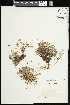  ( - CCDB-24803-B12)  @11 [ ] CreativeCommons - Attribution (2015) Agriculture and Agri-Food Canada Agriculture and Agri-Food Canada