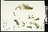  ( - CCDB-24803-C05)  @11 [ ] CreativeCommons - Attribution (2015) Agriculture and Agri-Food Canada Agriculture and Agri-Food Canada