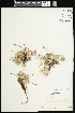 ( - CCDB-24803-C12)  @11 [ ] CreativeCommons - Attribution (2015) Agriculture and Agri-Food Canada Agriculture and Agri-Food Canada