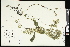  ( - CCDB-24803-D05)  @11 [ ] CreativeCommons - Attribution (2015) Agriculture and Agri-Food Canada Agriculture and Agri-Food Canada