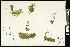  ( - CCDB-24803-E05)  @11 [ ] CreativeCommons - Attribution (2015) Agriculture and Agri-Food Canada Agriculture and Agri-Food Canada