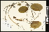  ( - CCDB-24803-F05)  @11 [ ] CreativeCommons - Attribution (2015) Agriculture and Agri-Food Canada Agriculture and Agri-Food Canada