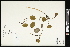  ( - CCDB-24803-G05)  @11 [ ] CreativeCommons - Attribution (2015) Agriculture and Agri-Food Canada Agriculture and Agri-Food Canada