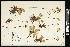  ( - CCDB-24803-G10)  @11 [ ] CreativeCommons - Attribution (2015) Agriculture and Agri-Food Canada Agriculture and Agri-Food Canada