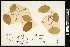  ( - CCDB-24803-H05)  @11 [ ] CreativeCommons - Attribution (2015) Agriculture and Agri-Food Canada Agriculture and Agri-Food Canada