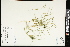  ( - CCDB-24806-C04)  @11 [ ] CreativeCommons - Attribution (2015) Agriculture and Agri-Food Canada Agriculture and Agri-Food Canada