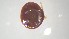  ( - VBDTK012024D04)  @11 [ ] Copyright (2024) Luis M. Hernandez-Triana Animal and Plant Health Agency