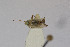  ( - Het_inatura-WR_0083)  @12 [ ] CreativeCommons  Attribution Non-Commercial Share-Alike (2016) Wolfgang Rabitsch Wolfgang Rabitsch