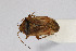  ( - Het_inatura-WR_0521)  @11 [ ] CreativeCommons  Attribution Non-Commercial Share-Alike (2016) Wolfgang Rabitsch Wolfgang Rabitsch