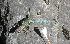  ( - CHIVC763)  @11 [ ] Unspecified (default): All Rights Reserved  V. Corbalán IADIZA-CONICET