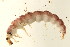  ( - 09PROBE-02441)  @13 [ ] CreativeCommons - Attribution (2009) Unspecified Centre for Biodiversity Genomics