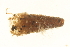  ( - 10PROBE-19122)  @13 [ ] CreativeCommons - Attribution (2010) CBG Photography Group Centre for Biodiversity Genomics