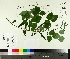 ( - TJD-371)  @11 [ ] CreativeCommons - Attribution Non-Commercial (2014) MTMG McGill University Herbarium