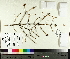  ( - TJD-471)  @11 [ ] CreativeCommons - Attribution Non-Commercial (2014) MTMG McGill University Herbarium