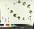  ( - TJD-580)  @11 [ ] CreativeCommons - Attribution Non-Commercial (2014) MTMG McGill University Herbarium