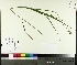  ( - TJD-638)  @11 [ ] CreativeCommons - Attribution Non-Commercial (2014) MTMG McGill University Herbarium
