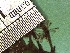  ( - TJD-102)  @11 [ ] CreativeCommons - Attribution Non-Commercial (2013) MTMG McGill Herbarium