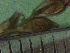  ( - TJD-129)  @11 [ ] CreativeCommons - Attribution Non-Commercial (2013) MTMG McGill Herbarium