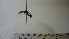  ( - Vesp-0007)  @11 [ ] Copyright (2012) Unspecified Unspecified