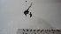  ( - Vesp-0010)  @11 [ ] Copyright  Unspecified Unspecified