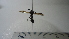  ( - Vesp-0012)  @11 [ ] Copyright  Unspecified Unspecified