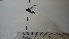  (Polybia sp. 5HMC - Vesp-0023)  @12 [ ] Copyright  Unspecified Unspecified