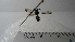  (Polybia sp. 7HMC - Vesp-0032)  @13 [ ] Copyright  Unspecified Unspecified