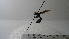  ( - Vesp-0038)  @12 [ ] Copyright  Unspecified Unspecified