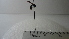 ( - Vesp-0103)  @12 [ ] Copyright  Unspecified Unspecified