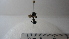  ( - Vesp-0113)  @12 [ ] Copyright  Unspecified Unspecified