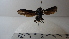  ( - Vesp-0120)  @12 [ ] Copyright  Unspecified Unspecified