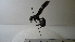  ( - Vesp-0122)  @12 [ ] Copyright  Unspecified Unspecified